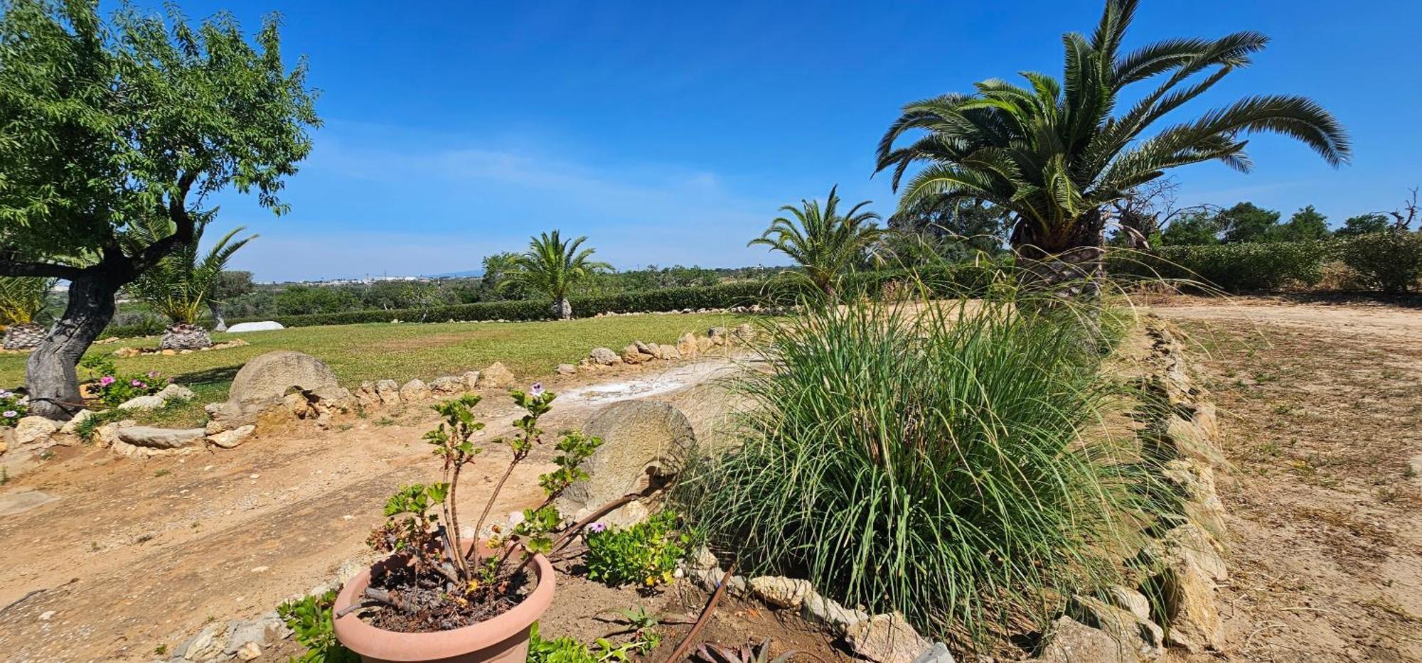 Quinta Do Lagar Holiday home