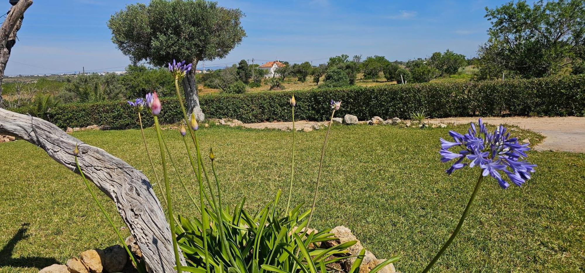Quinta Do Lagar